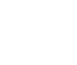Instituto para actividades urbanísticas (IAU)